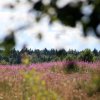 img_8001