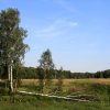 img_8101