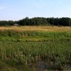 img_8102