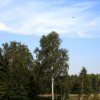 img_8107
