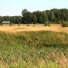 img_8110