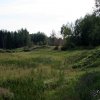 img_8117