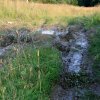 img_8144